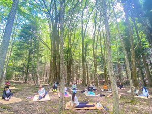 3 Day Yoga and Forest Healing Therapy Wellness Retreat in Koyasan, Japan