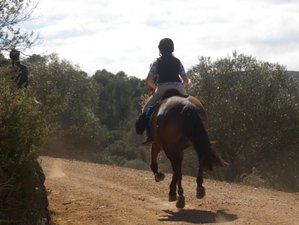 8 Day Discovering the Ampurdan and the Costa Brava Horse Riding Holiday in Catalonia