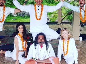 26 Tage 200-Stunden Multi Style Yogalehrer Ausbildung im Himalaya, Dharamsala