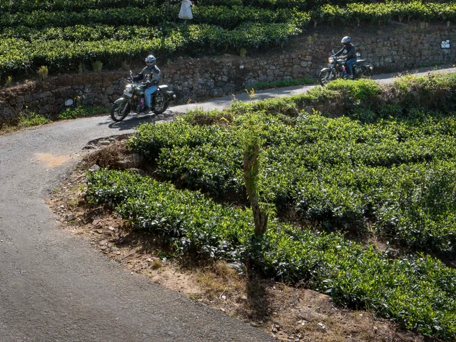 13 Day Royal Enfield Guided Motorcycle Tour in Sri Lanka: Ancient Kingdoms and the North photo 5