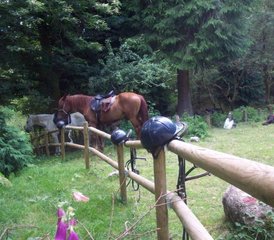 8 Day Adventurous Wild Horse Riding Tour in Alto Minho, Northern Portugal - Photo 5