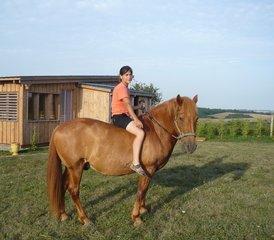 2 Day "Cool and Gourmet" Horse Riding Holiday in Lupiac, Occitanie - Photo 3