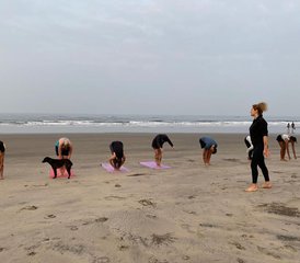 29 jours-300h en formation de professeur de yoga avancée à Goa, Inde - Photo 3