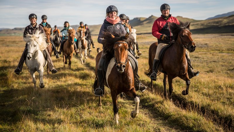 7 Day Breath of the Highlands Horse Riding Holiday with Free Running Herds in North Iceland