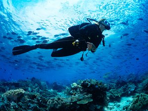 11 Tage Open Water Tauchkurs mit Schnorcheln, Safari und Tours in Trincomalee, Ostprovinz