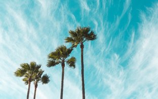 Südkalifornien Retreats und Reisen