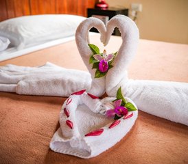 10 jours en stage de yoga en forêt tropicale à El Castillo, Costa Rica - Photo 5
