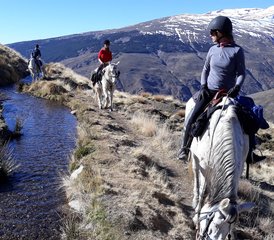 15 Day Sulayr Short Break Horse Riding Holiday in Granada, Andalusia, Spain - Photo 1