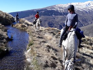 5 Day Sulayr Short Break Horse Riding Holiday in Granada, Andalusia