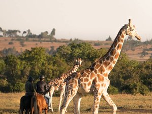 10 Day Best of Kenya Safari: Samburu, Sweetwaters, Aberdare, Lake Nakuru and Masai Mara
