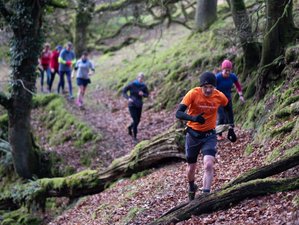 4 Day Dartmoor Trail, Fells, and Fitness Retreat in the UK with Adventure Yoga and Running