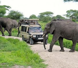 46 días de safari combinado increíble por Kenia y Tanzania - Photo 1