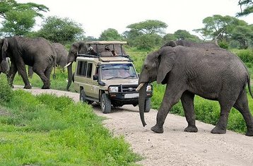 6-Daagse Geweldige Kenia en Tanzania Gecombineerde Safari