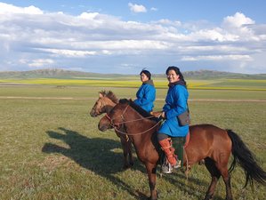 8-Daagse Acht Meren Paardentrektocht in Centraal-Mongolië