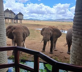 73-Daagse Begeleide Safari Tsavo East en Taita Hills in Kenia - Photo 1