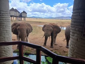 3 jours safari guidé à Tsavo Est et Taita Hills, Kenya