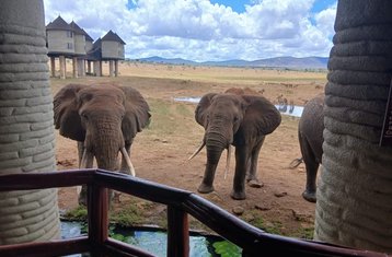 3 días de safari guiado por Tsavo East y las colinas Taita en Kenia