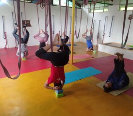 Formation de professeur de yoga multi-styles de 27 jours et 200 heures à Dharamshala, en Inde - Photo 3