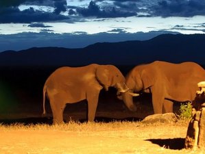 4 Day Guided Red Elephant Safari in Tsavo and Mombasa
