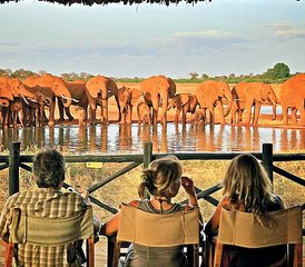 03 Tage Wildnis Safari im Tsavo East Nationalpark in Kenia von Mobasa - Photo 1