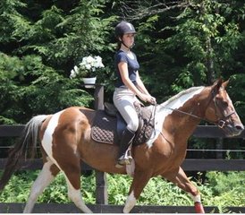 27 jours camp équestre d’été pour garçons à Newbury, Vermont, USA - Photo 3