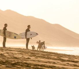 4-Daagse Budget Surfkamp en Hostelverblijf op Fuerteventura, Spanje - Photo 5