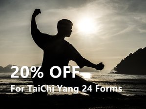 Tai Chi 24 form moves in Chinese, Pinyin, English & 4 other languages