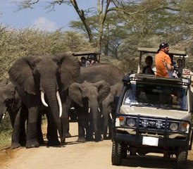 010 Tage Beste Kenia Big Five Private Wildlife-Safari - Photo 1