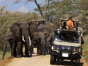 10 Day Best of Kenya Big Five Private Wildlife Safari