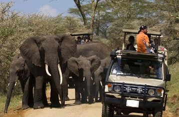 10-Daagse Beste Van Kenia Big Five Privésafari Voor Wilde Dieren