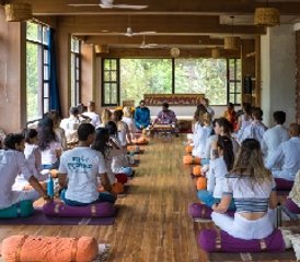 Self-Paced Online 200-Hour Hatha, Ashtanga Vinyasa, Kundalini, Ayurveda, Yoga Nidra Teacher Training - Photo 2