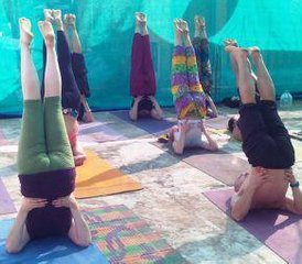 23-Daagse 200-uurs Yogadocentenopleiding in Dharamsala, Himachal Pradesh, India - Photo 2
