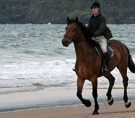 7 jours en stage d’équitation Signature châteaux, Chaussée des Géants, côte et campagne en Irlande du Nord, Royaume - Photo 5