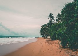 Hikkaduwa Retreats und Reisen