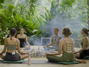 8 Day Nature Therapy and Island Adventure Yoga and Meditation Retreat in Koh Phangan, Thailand