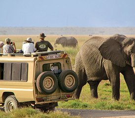 85 jours safari aventure au parc national du Serengeti, Tanzanie - Photo 1
