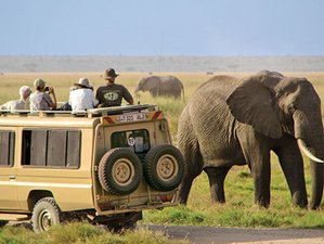 5 jours safari aventure au parc national du Serengeti, Tanzanie