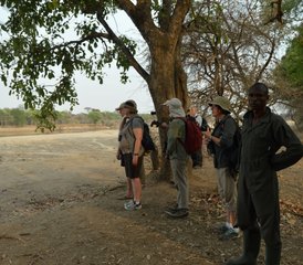 115 Tage Walking-Safari in Luangwa-Nationalparks, Bangweulu-Sümpfen und mehr in Sambia - Photo 1