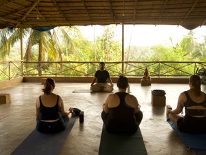 11 días de retiro de bienestar y yoga en Goa, India