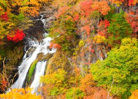 Nikko Retreats & Trips