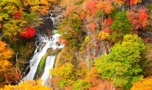 Nikko Retreats und Reisen