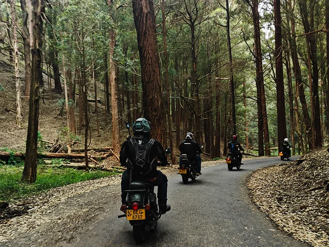 9 Day Serendipity in Serendip Guided Explorer Motorcycle Tour on Royal Enfield in Sri Lanka photo 2