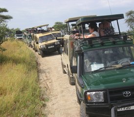 84 Days Masai Mara & Lake Nakuru Big 5 Safari in Kenya - Photo 1