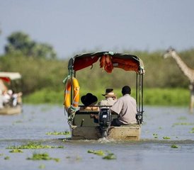 86 días de safari privado en el sur de Tanzania: Nyerere, Mikumi, Ruaha y disfruta de un pintoresco safari en barco - Photo 1