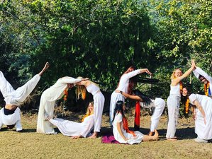 28 jours-200h de yoga multistyles et guérison émotionnelle et sonore des traumatismes à Rishikesh