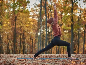 3 Day Autumn Recharge: Yoga and Wellness Retreat on the Isle of Anglesey, Wales, UK