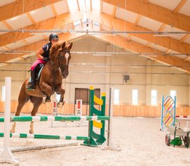 07 jours de saut d’obstacles et vacances équestres à Galiny, Gmina Bartoszyce, Pologne - Photo 1