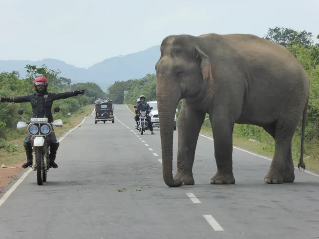 8 Day Explore Untouched Nature With a Guided Motorcycle Tour in Sri Lanka photo 3
