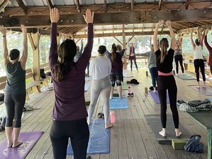 3 Day Sacred Embodiment Yoga and Therapeutic Nature Connection Mountain Retreat in Lake Toxaway, USA