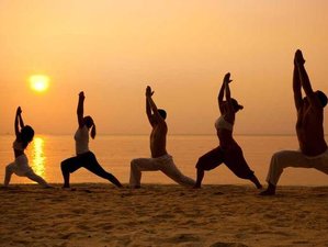 11 Day Yog (Dhyan) Nidra and Meditation Teacher Training in Goa, India